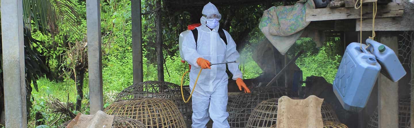 World Chagas Day