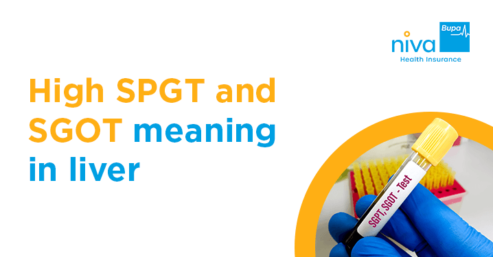high sgot and sgpt means