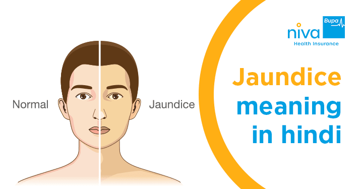 Jaundice Meaning in Hindi