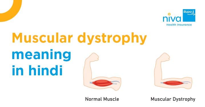 Muscular Dystrophy Meaning in Hindi
