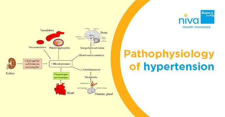 pathophysiology of hypertension