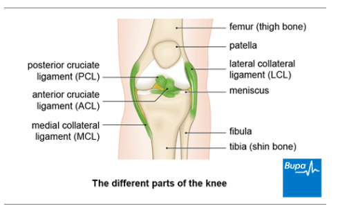 Knee Osteoarthritis_1