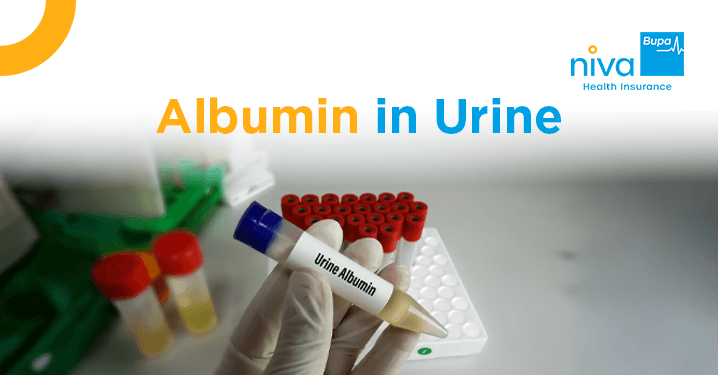 Albumin in Urine