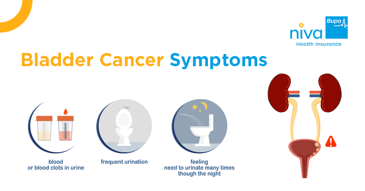 Bladder Cancer Symptoms