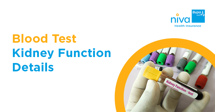 Blood Test for Kidney Function
