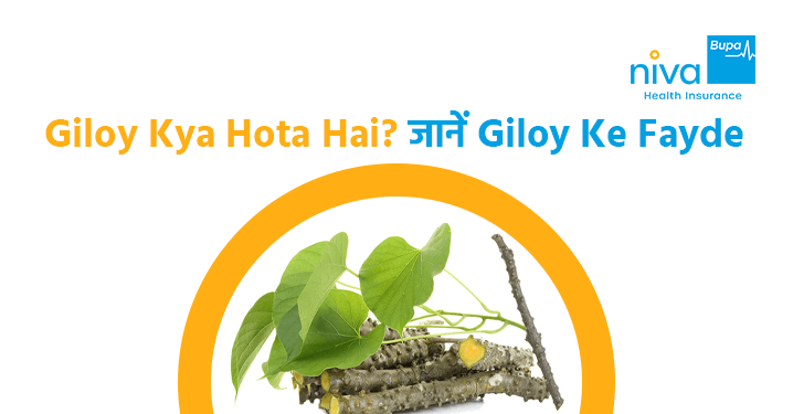 giloy ke fayde
