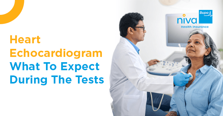 Heart Echocardiogram Test