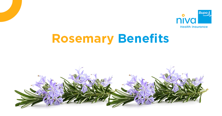 Rosemary in Hindi
