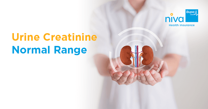 Urine Creatinine Normal Range