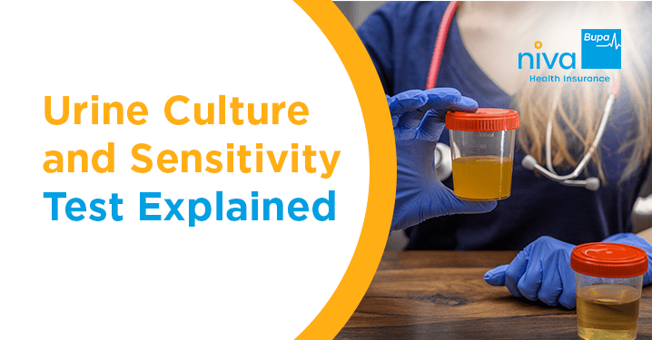 Urine Culture and Sensitivity Test Explained