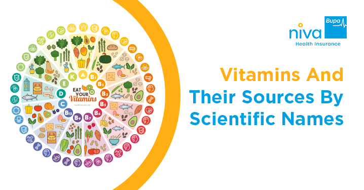 Vitamins and Their Sources