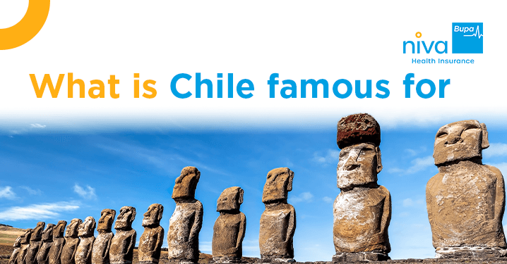 What is Chile famous for