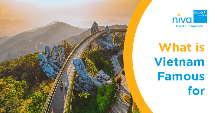 What is Vietnam Famous for