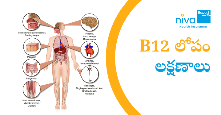 B12 Deficiency Symptoms in Telugu