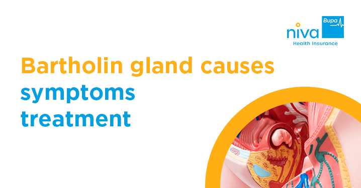 bartholin gland