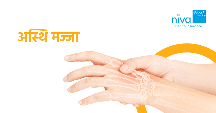 Bone Marrow in Hindi