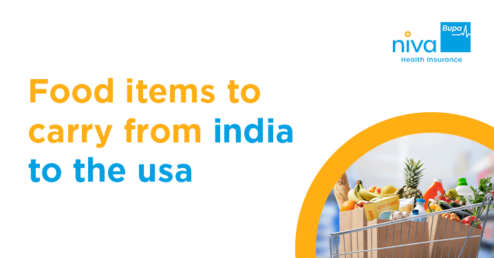 Indian food items for USA travel