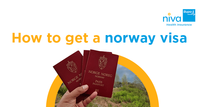How to Get a Norway Visa: Step-by-Step for Indian Travellers?