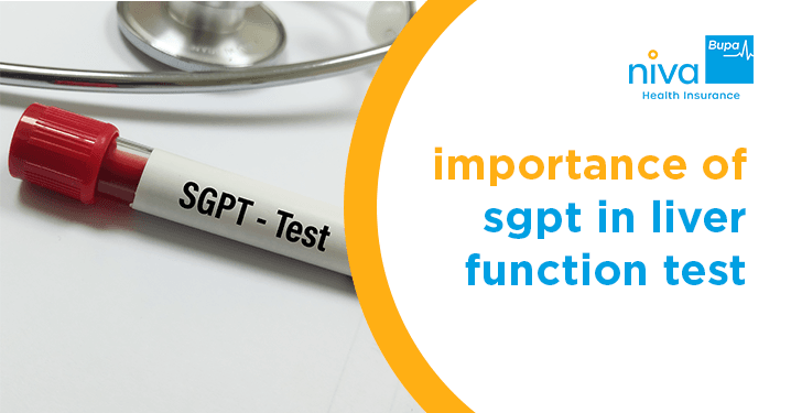 The Importance of SGPT