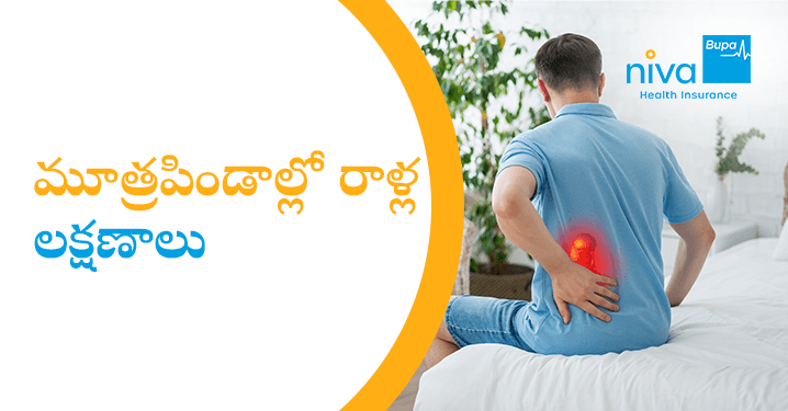 Kidney Stones Symptoms in Telugu