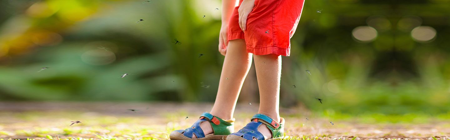 Malaria and Monsoon Explained | Symptoms & Prevention of Malaria