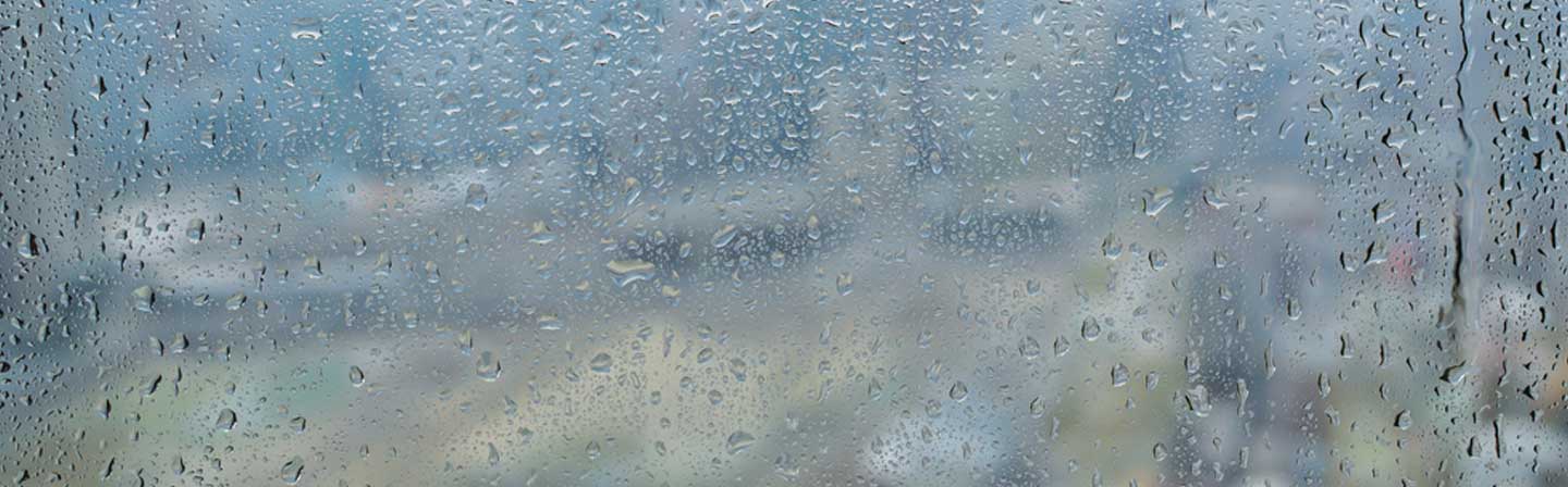 Legionella Infection: Symptoms, Causes & Prevention