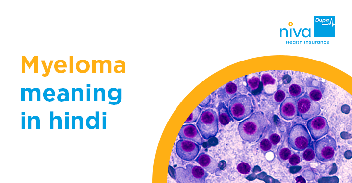 Myeloma Meaning in Hindi