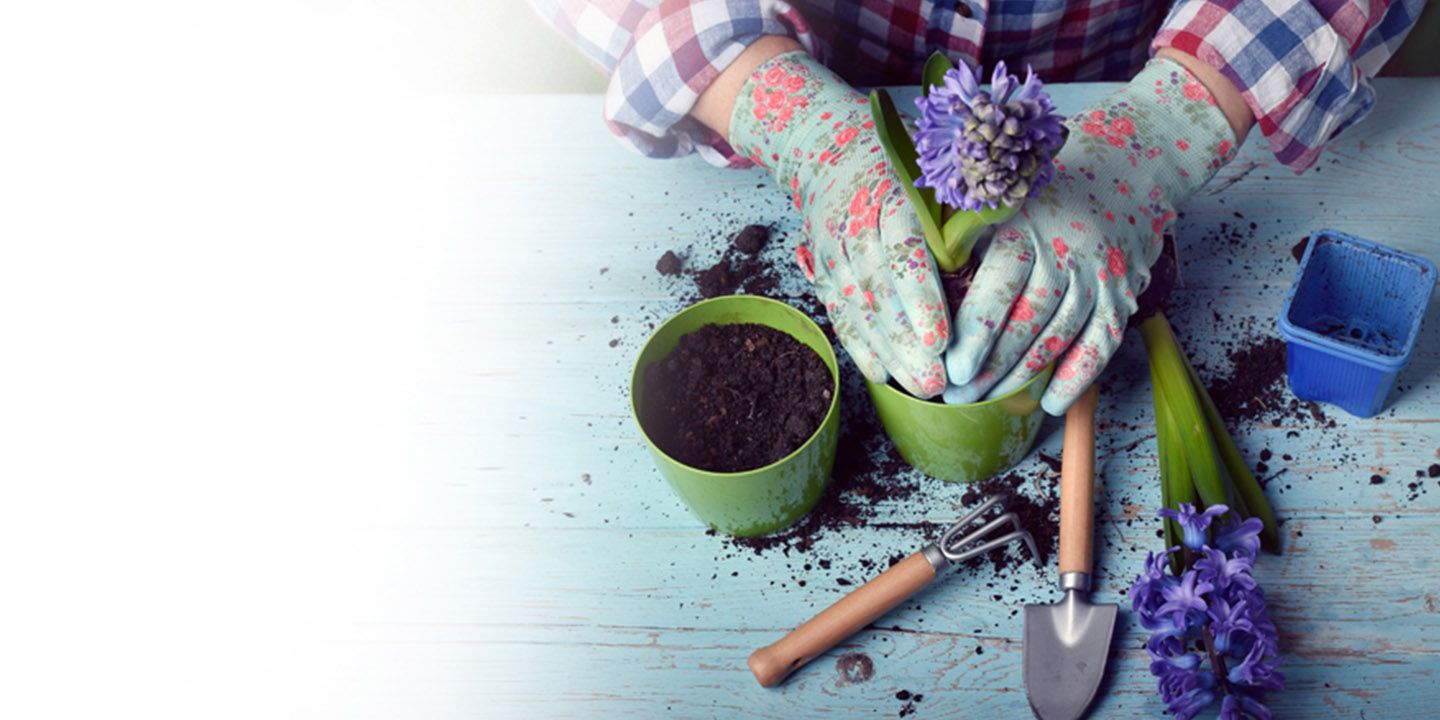 Take #OneStepADay Challenge for Holistic Health Improvement