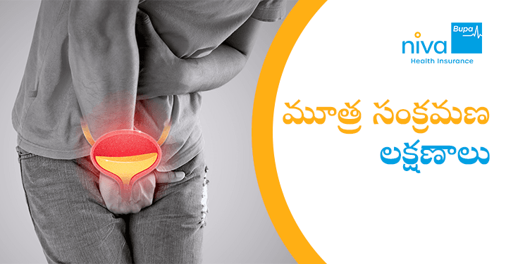 Urine Infection Symptoms in Telugu