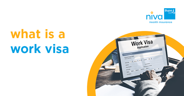 what is a work visa